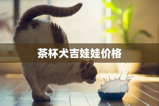 茶杯犬吉娃娃价格